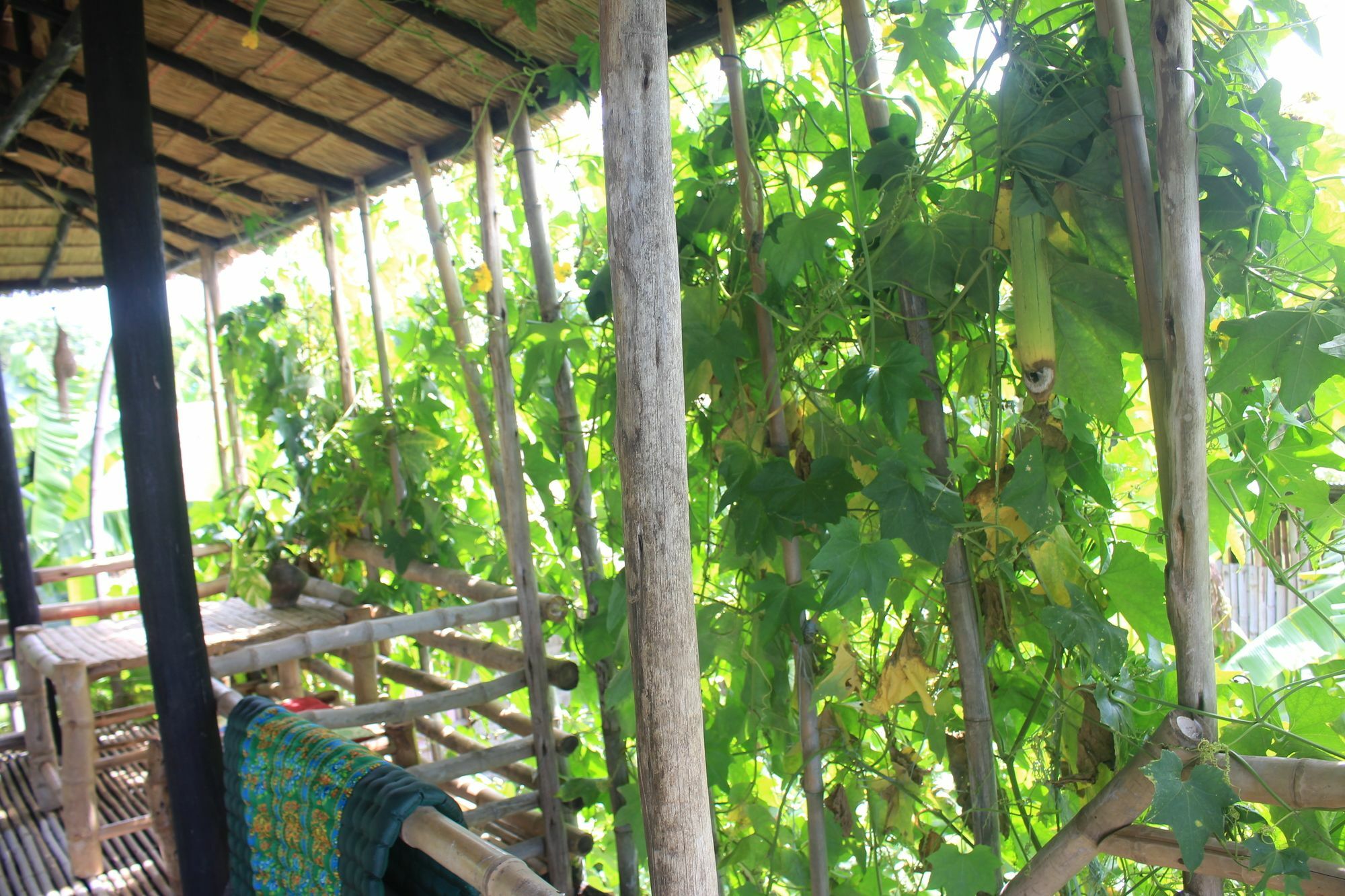 Battambang Dream Bungalows Экстерьер фото
